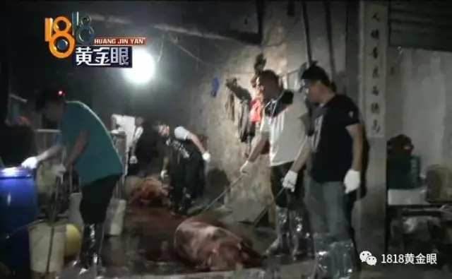 惊悚!每到午夜时分 这间屋子传出刺耳响亮声