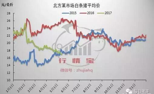 猪价“破7”是否已跌到底？本周或见分晓！