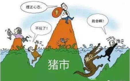 猪价“破7”是否已跌到底？本周或见分晓！