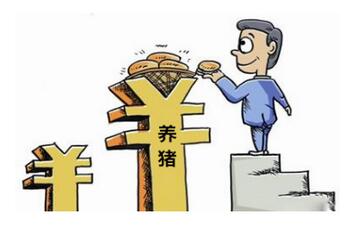 专家称猪价下降,但利润会上升,这是真的吗?