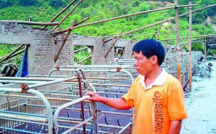 假如猪价跌破6元，谁会第一个倒下？