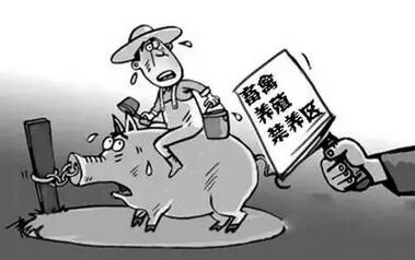 浙江出奇招！鼓励浙商“走出去”建供浙养猪基地