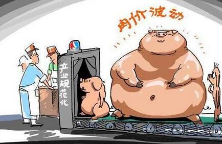 有专家预测明年养猪将大亏损，养殖户该怎么应对低价猪周期？