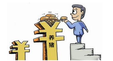 到底养猪能有多少利润空间？你计算过吗……