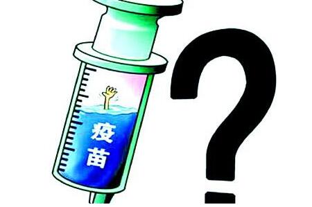 不肖业者将原厂环状病毒疫苗加水稀释，转售10万剂给猪农牟利