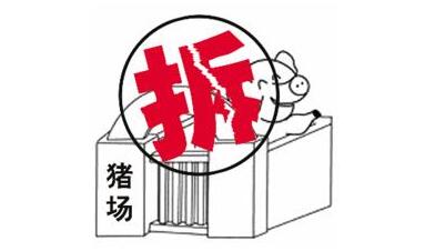 猪场拆迁难！央视记者亲历河北农村猪场拆迁