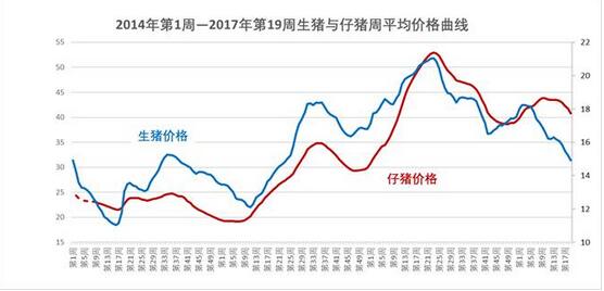 2017年第19周生猪价格，仔猪、二元母猪和玉米价格，猪粮比价分析
