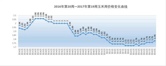 2017年第19周生猪价格，仔猪、二元母猪和玉米价格，猪粮比价分析