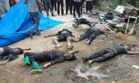 猪场一天连续死了6个人，原因实在让人心痛！