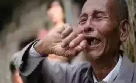 养猪人:我哭了,我再也不养猪了!