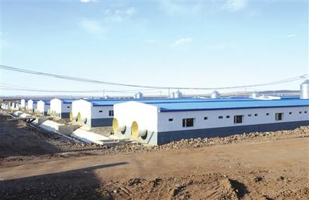 7个人养25000口猪,霍刚是怎么做到的?