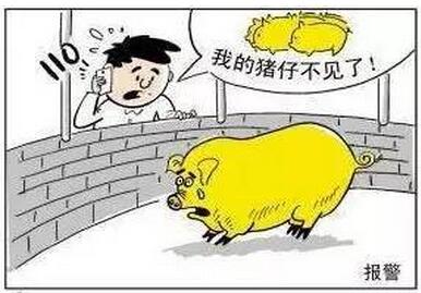 猪场员工多年监守自盗，合伙偷卖入库饲料分赃20多万