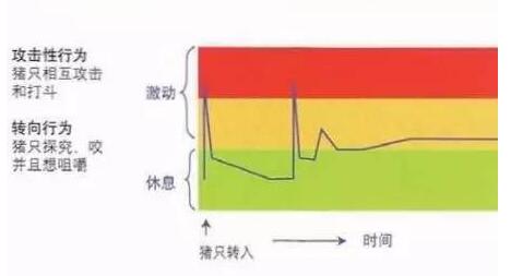 如何预防转向行为？把握两点就轻而易举搞定