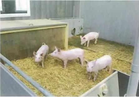 如何预防转向行为？把握两点就轻而易举搞定