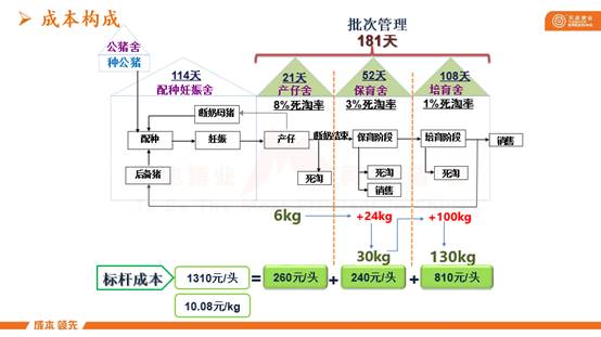 一篇不看会会后悔的猪场建设与管理干货