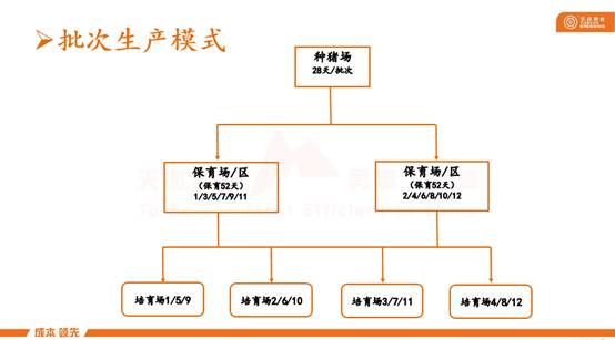 一篇不看会会后悔的猪场建设与管理干货