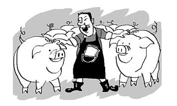 猪价跌势放缓仍延续 大体重猪继续挺价现象还较普遍