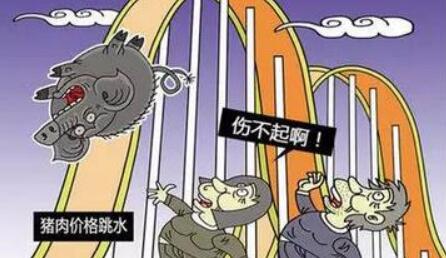 一番“动荡波澜”之后，养猪真的无路可走了吗？