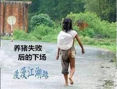 屠宰企业的每一次出手都是有默契和时机的......