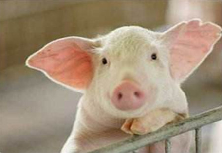 4步治疗病毒引起的腹泻,一般人我不告诉他