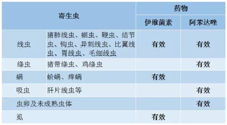 全驱清——广谱高效驱杀体内外寄生虫