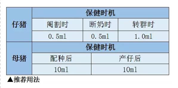 长效杀菌，只需一针——畜可宁（盐酸头孢噻呋注射液）