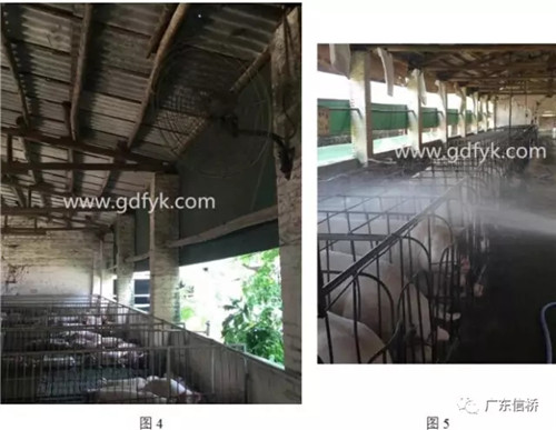 原来是中暑引起的死胎