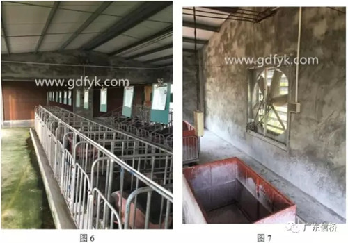 原来是中暑引起的死胎