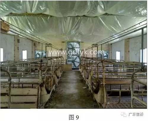 原来是中暑引起的死胎