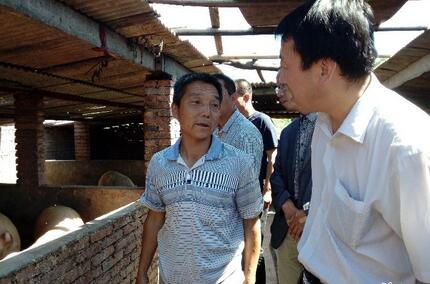 贫困户养猪出现资金缺口 干部担保8万政府贴息贷款