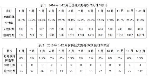 杨傲冰：伪狂犬变异不必过分担心，蓝耳防控是重点！