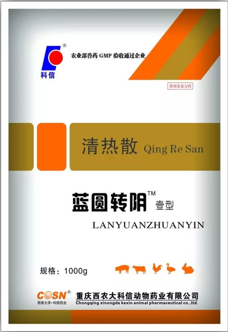 一例猪附红体病感染的防治措施