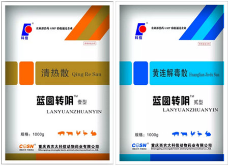 一例猪附红体病感染的防治措施