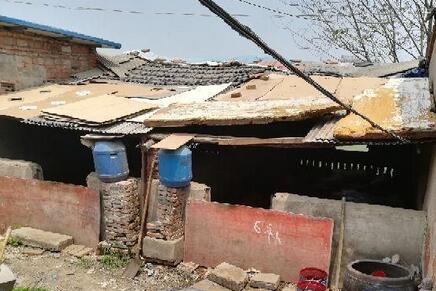 一城中村内有人圈场养猪，邻居被臭熏忍无可忍举报！