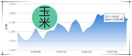 6月2日猪评：洋猪肉出问题引起信任危机 要严查进口猪肉