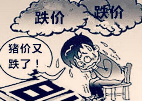 双汇进口猪肉量同期下降80%，猪价还会继续下跌？