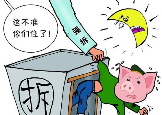 真相大白！猪价下跌的深渊，这些你们都知道吗？