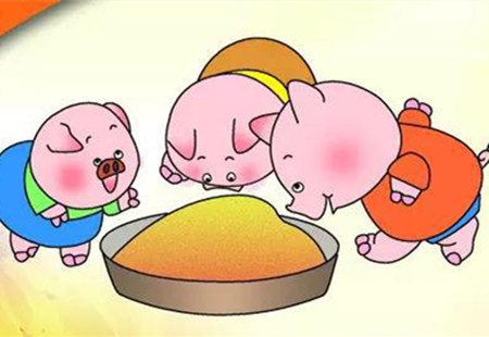 都说发酵饲料效果好,克服这些问题才能让养殖户都用上它