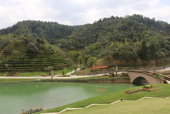 环保重压下，一个养猪场的“绿色”转身