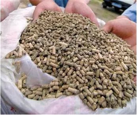 芒种时节，养猪人应抓住三个细节