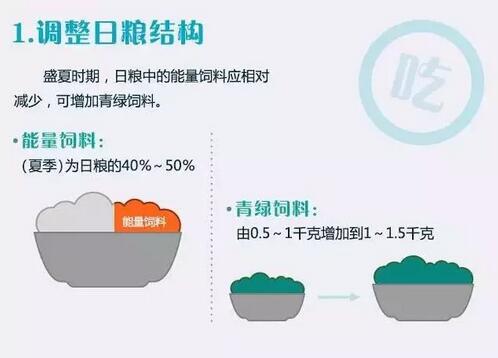 酷暑将至，你的猪场准备好了吗？