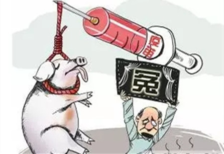 疫苗宜少不宜多！不然会死猪！