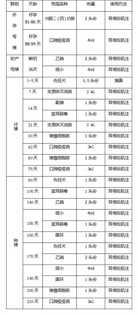 免疫疫苗什么时候打？如何打？打多少？