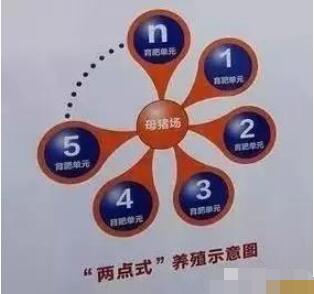 近5年来，养猪技术有这10大革新技术，你会吗？