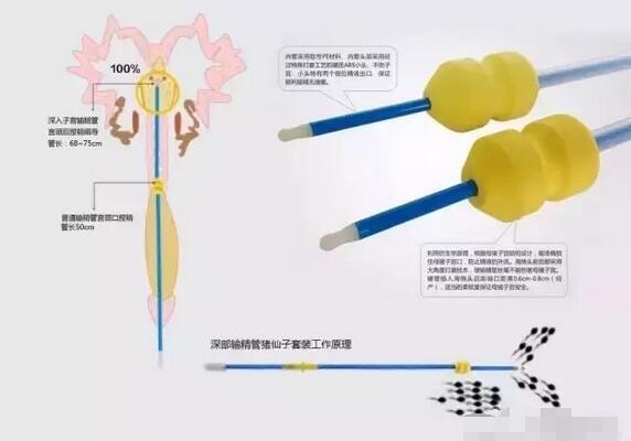 近5年来，养猪技术有这10大革新技术，你会吗？