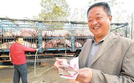 养猪人请注意:你们可能又要被折腾一回了!