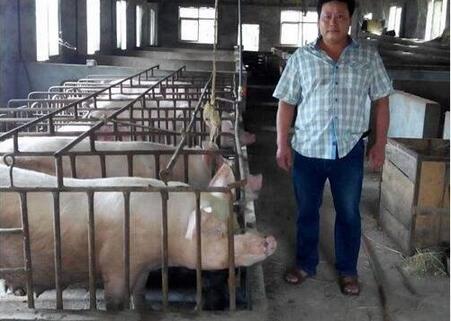 养猪人请注意:你们可能又要被折腾一回了!
