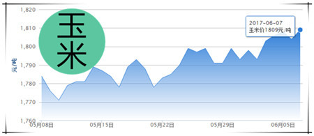 6月7日猪评：六月上旬甚至上半个月猪价都将维持上涨行情