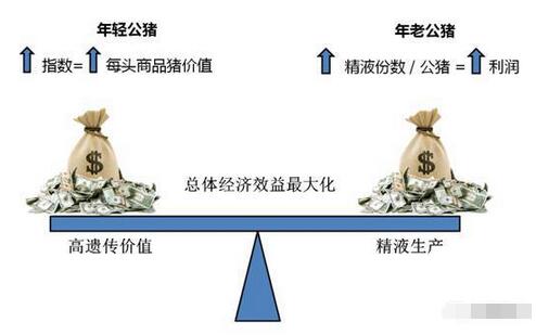 繁殖与育种 