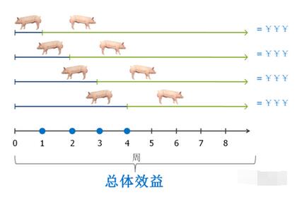 繁殖与育种 